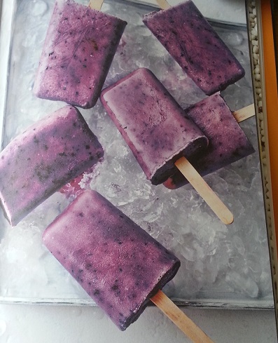 The Best Diabetic Ice Cream Ever – Coconut and Blueberry Lolly